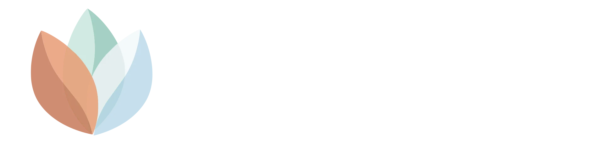 David Solbes